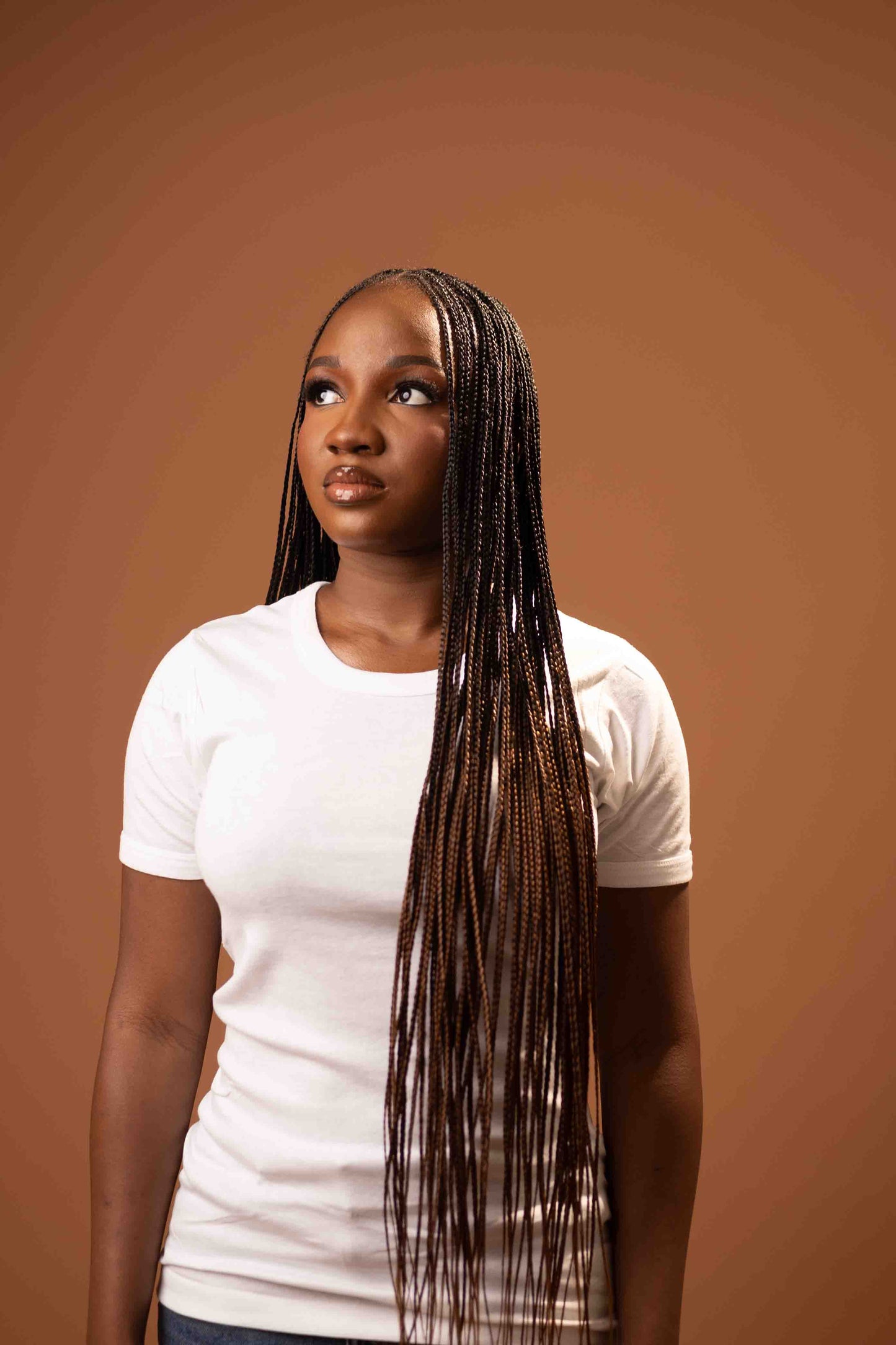 Bone Straight Braiding Hair – Black to Honey (C16)
